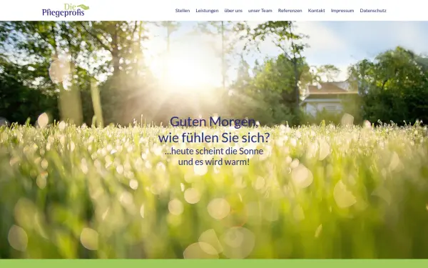 www.die-pflegeprofis.de