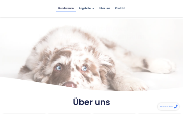 hundeverein-rosenheim.de
