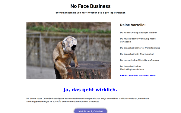 wellcons.de
