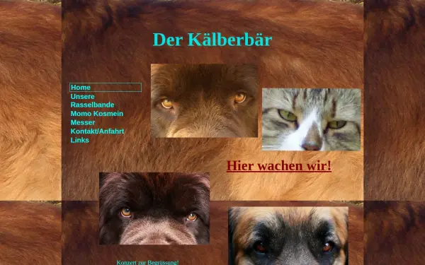 www.h-kaelberer.de