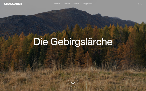 gebirgslaerche.at