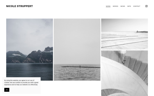 www.nicolestruppert.com