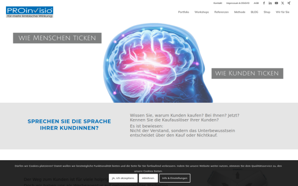 proinvisio.com