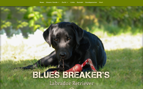 www.blues-breakers-labradors.de