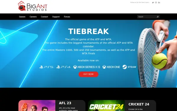www.bigant.com