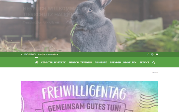 tierschutz-halle.de