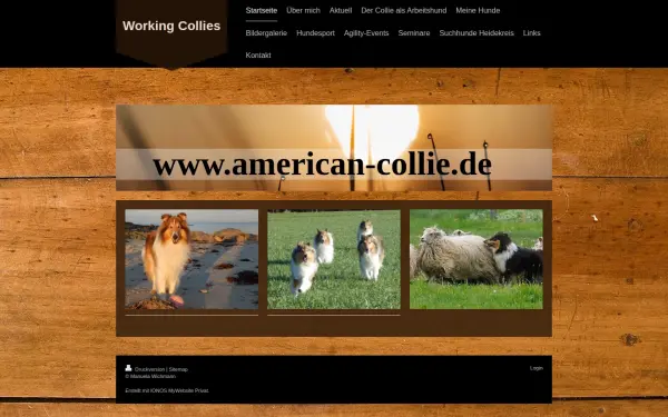 www.american-collie.de