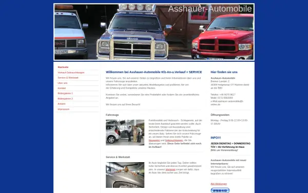 www.asshauer-automobile.de