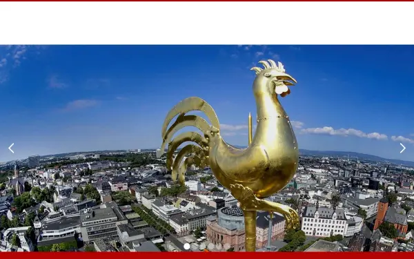 www.dachdecker-mainz.de