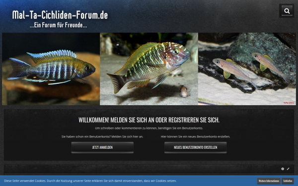 mal-ta-cichliden-forum.de