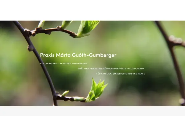 www.stillunterstuetzung.de