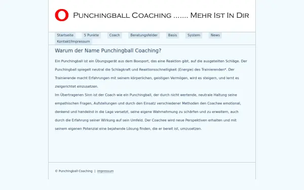 punchingball-coaching.de