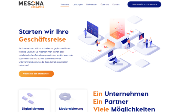 mesona-consulting.at