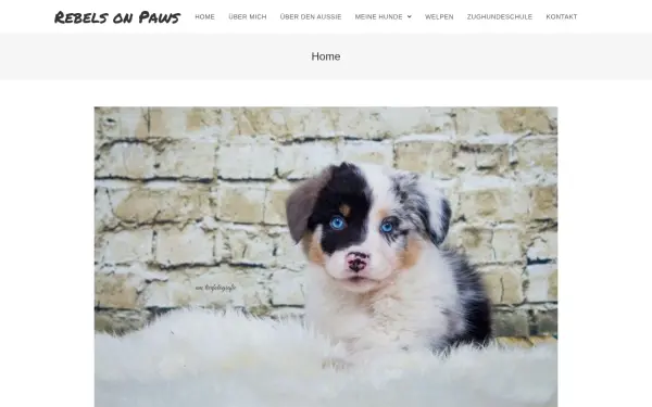 www.rebels-on-paws.de
