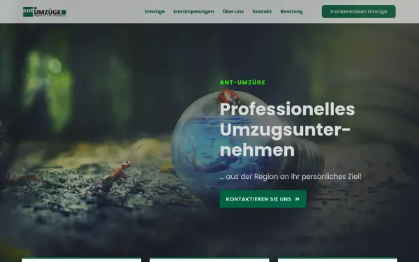 www.ant-umzuege.de