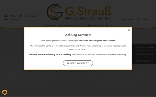 gstrauss-gmbh.de