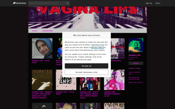vaginalips.bandcamp.com