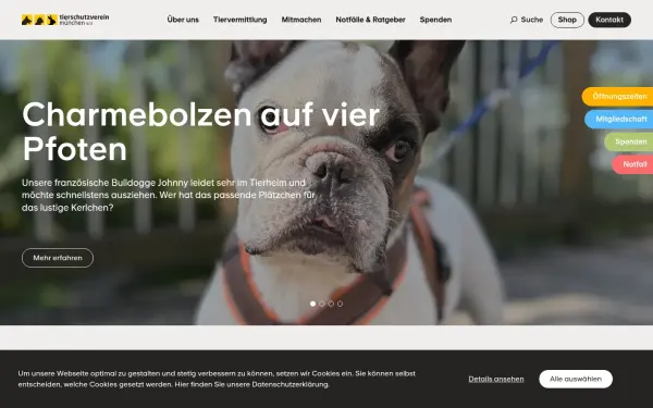 tierschutzverein-muenchen.de