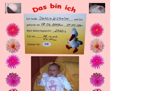 dahlia-wilhelm.de