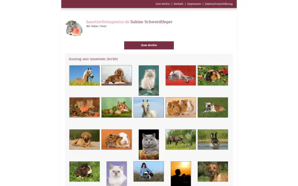 www.haustierfotoagentur.de