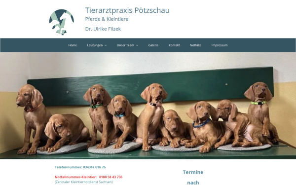 www.tierarztpraxis-poetzschau.de