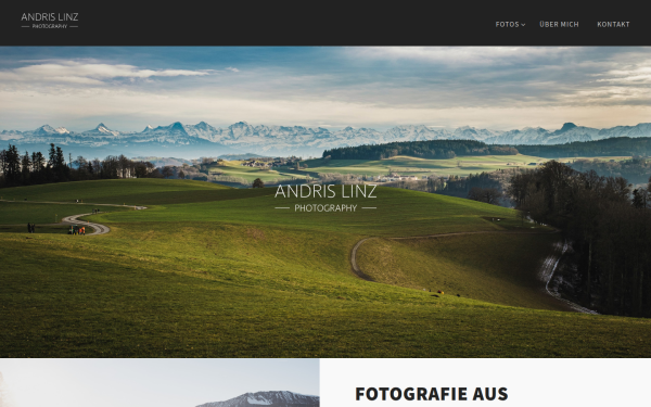 andrislinz.ch