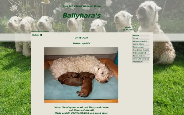 ballyharas.de
