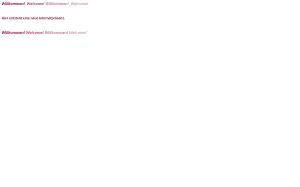 dissmaster.de