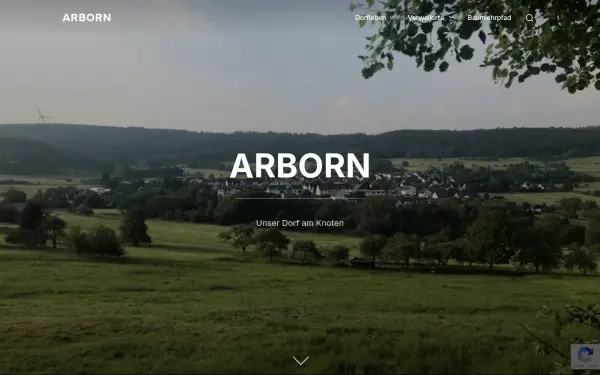 www.arborn.de