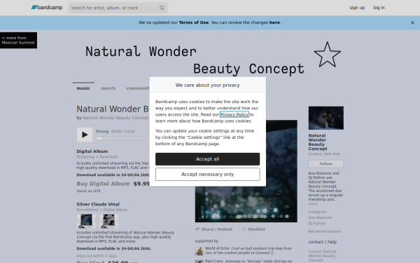 naturalwonderbeautyconcept.bandcamp.com