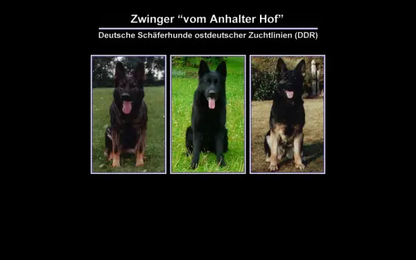 anhalter-hof.de