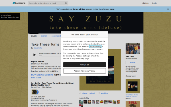 sayzuzu.bandcamp.com