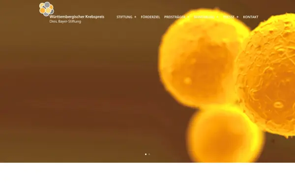www.dres-bayer-stiftung.de