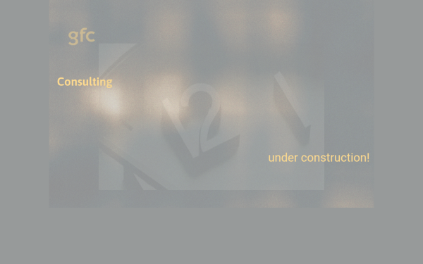 www.gfc-consulting.de
