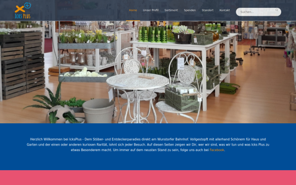 www.icks-plus.de