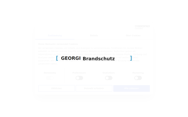 georgi-ingenieurbuero.de