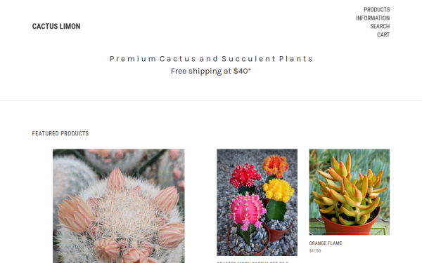 www.cactuslimon.net