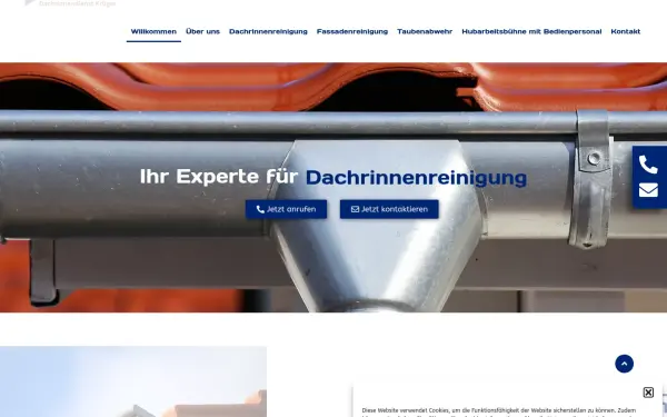 dachrinnendienst.de