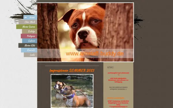 www.amstaff-buddy.de