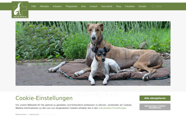 www.galgo-hilfe.de