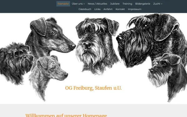pskog-freiburg-staufen.de