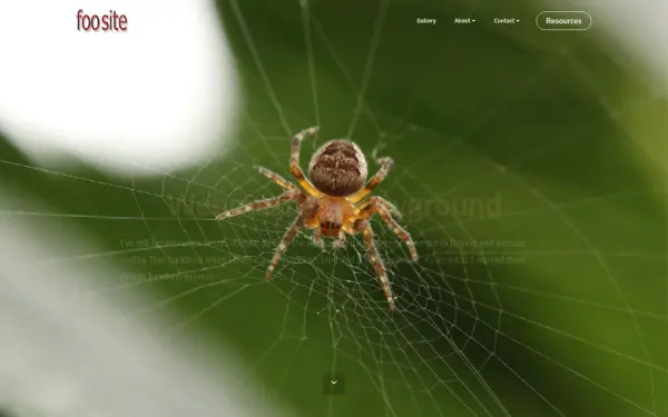 foosite.com