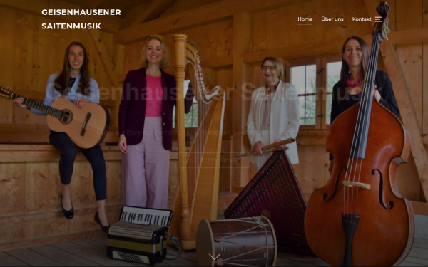 geisenhausenersaitenmusik.de