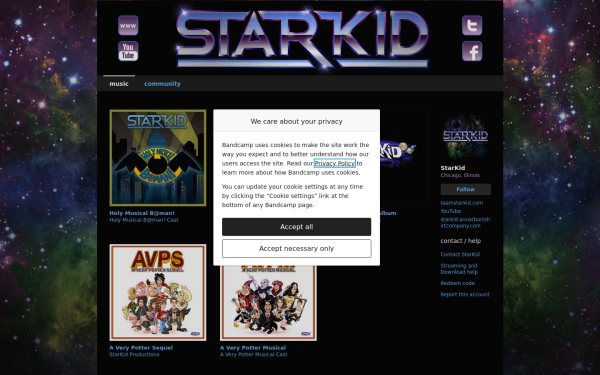 teamstarkid.bandcamp.com