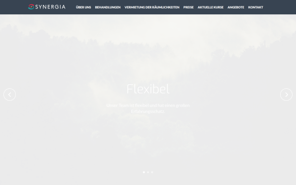 synergiapraxis.at
