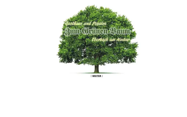 gruener-baum-eberbach.de