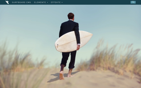 www.surfboard-cms.de