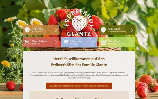 glantz.de