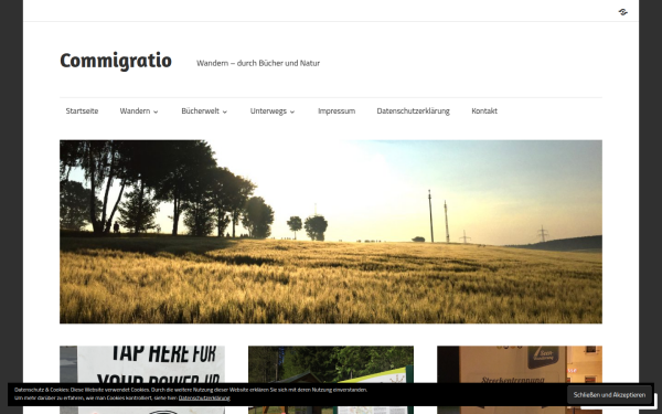 commigratio.com