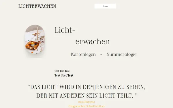 dms-manager.de